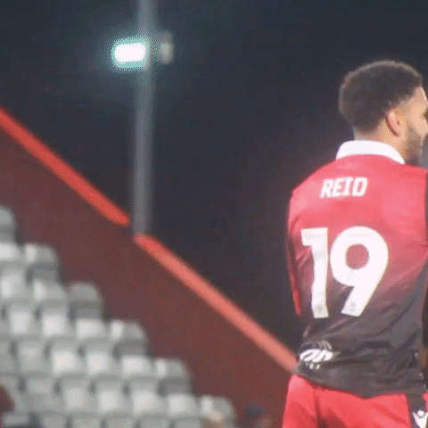 GIF by Stevenage Football Club