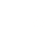 Puerto Cancun Shark Sticker by LuximiaMX