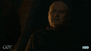 hbo look GIF by Game of Thrones
