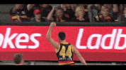 afl celebrate GIF by Adelaide Crows