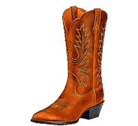 Country Music Nashville Sticker by Ariat