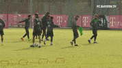 david robert GIF by FC Bayern Munich
