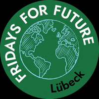 fridaysforfutureluebeck  GIF