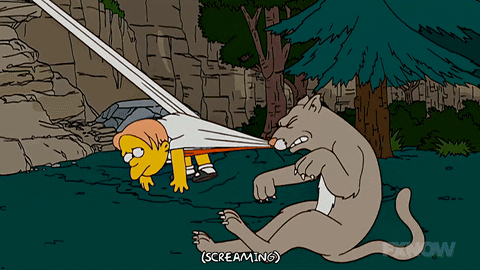 the simpsons GIF