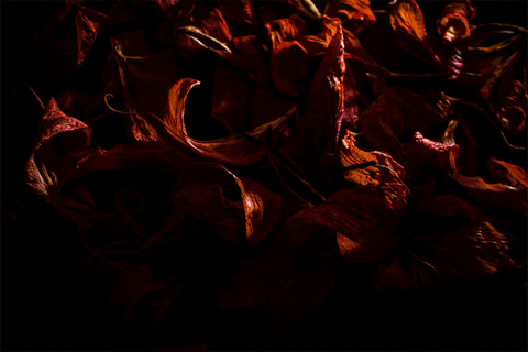 flower doll GIF