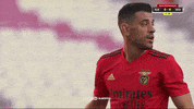 Sl Benfica Clap GIF by Sport Lisboa e Benfica