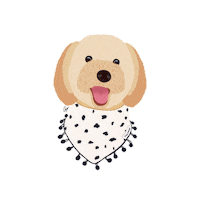 Dog Poodle Sticker