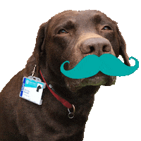 Sixth Form College Sticker by Barton Peveril