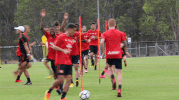 happy western sydney wanderers GIF by wswanderersfc