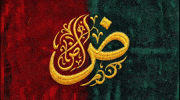 Middle East Uae GIF