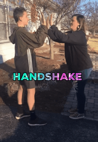 BDSTLSM handshake breakdown bdstl GIF