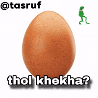 Egg GIF