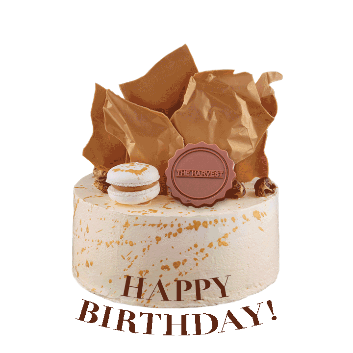 happy birthday cake Sticker by Wanderbites
