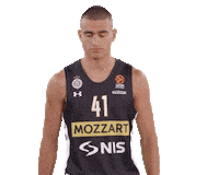 Partizan Sticker by sportmts