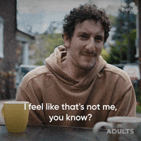 Fx Networks Hulu GIF by Adults