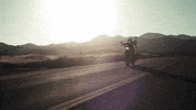 Ride GIF by Harley-Davidson