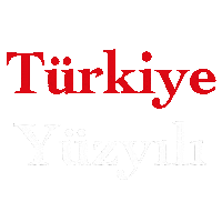 Rte Erdogan Sticker by Miyase