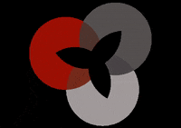 The_Hospitalitist work red typing grey GIF