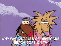 nickrewind nicksplat angry beavers GIF