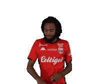 Ligue 2 Football Sticker by EA Guingamp