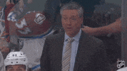 New York Wow GIF by NHL