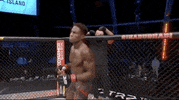 Hakeem Dawodu Sport GIF by UFC