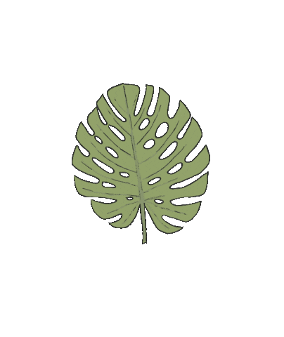 adrianaknispl giphyupload leaf monstera adrianaknispl Sticker