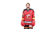 meudonhockeyclub goal hockey hand france Sticker