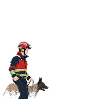 Emergency Pompier Sticker by cgdislux