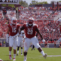 Nc State Wolfpack GIF by NC State Athletics