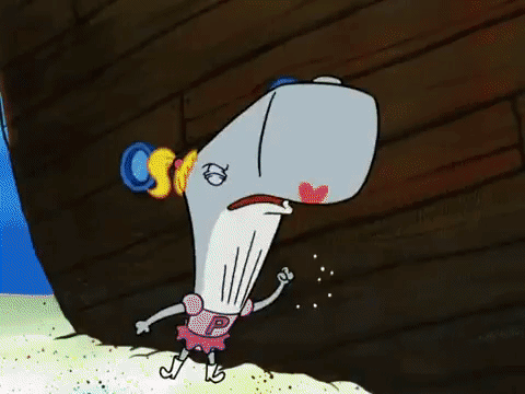 season 6 grandpappy the pirate GIF by SpongeBob SquarePants