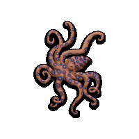 Marine Conservation Octopus Sticker by Conservation Diver