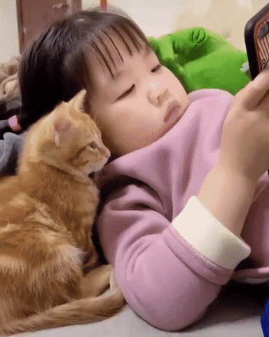 cuteanimalland giphyupload GIF