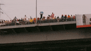 Miley Cyrus Crowd GIF