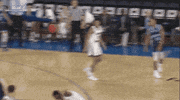 college basketball GIF by America East