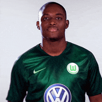 france hello GIF by VfL Wolfsburg