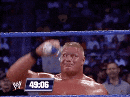 Brock Lesnar Sport GIF by WWE