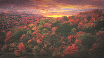 glitch fall GIF by Jazer