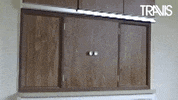 Peek A Boo Reaction GIF by Travis