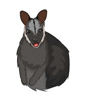 Endangered Species Sticker Sticker by NSW Department of Planning, Industry and Environment