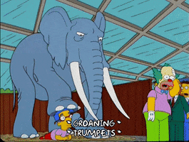 the simpsons GIF