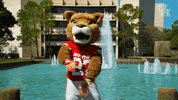 houstoncougars houston sasha gocoogs shasta GIF