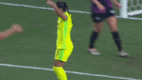 Washingtonspirit GIF by National Women's Soccer League