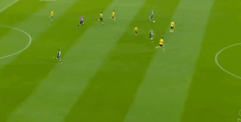 kareljedlika giphyupload GIF