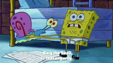 season 10 episode 3 GIF by SpongeBob SquarePants