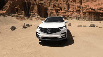 car desert GIF by BlackPowderWorks