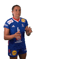Ffhandball Sticker by Fédération Française de Handball