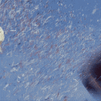 solutions_HMG solutionsjubel solutions-hmg GIF