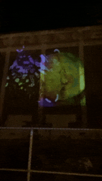 Street Art GIF by Alex Boya