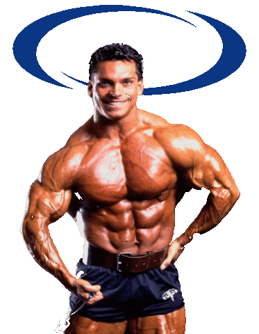 Italian Wow Sticker by Gaspari Nutrition